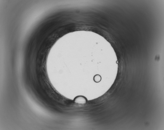 X0000111850764200909031727