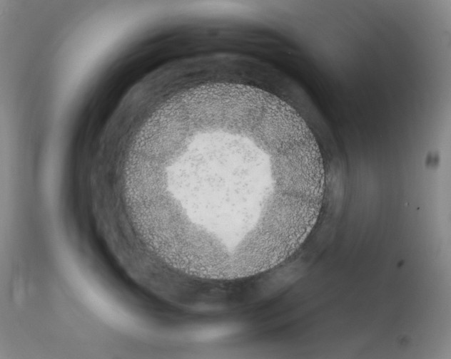 X0000111850765200909031727