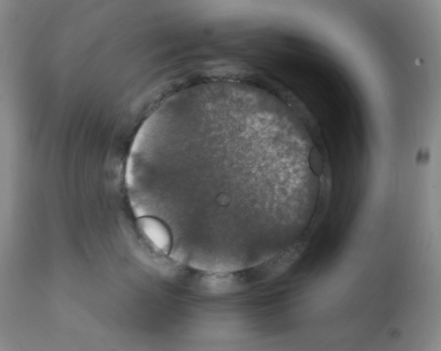 X0000111850767200909031727