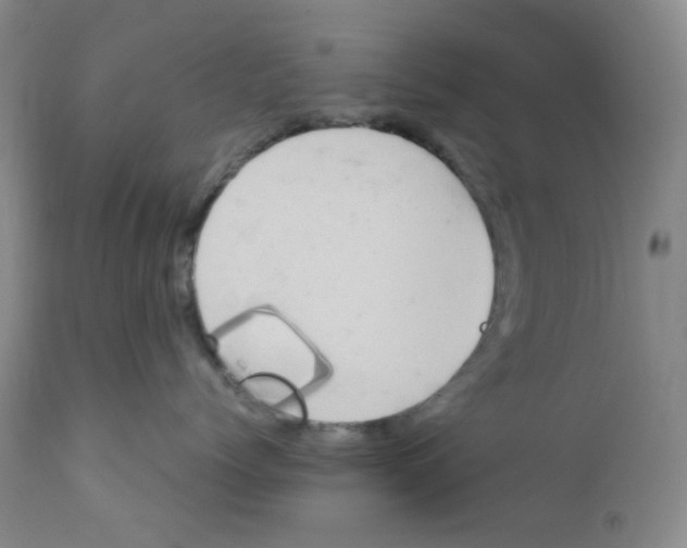 X0000111850768200909031727
