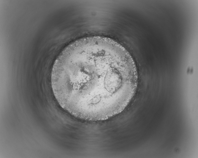 X0000111850769200909031726
