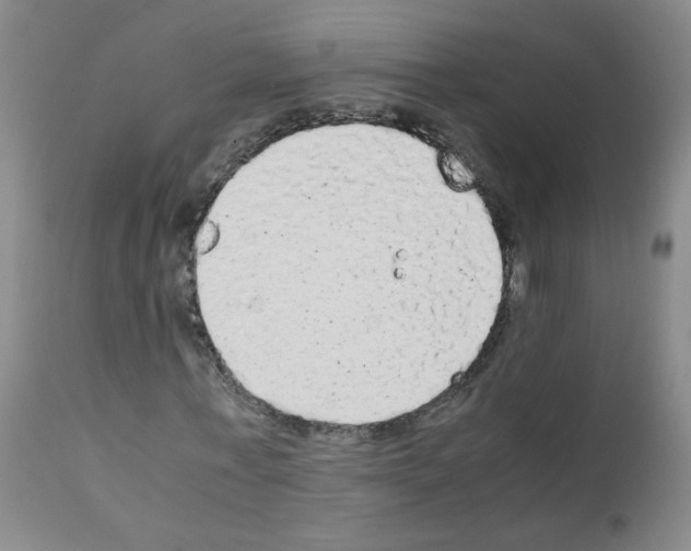 X0000111850771200909031726