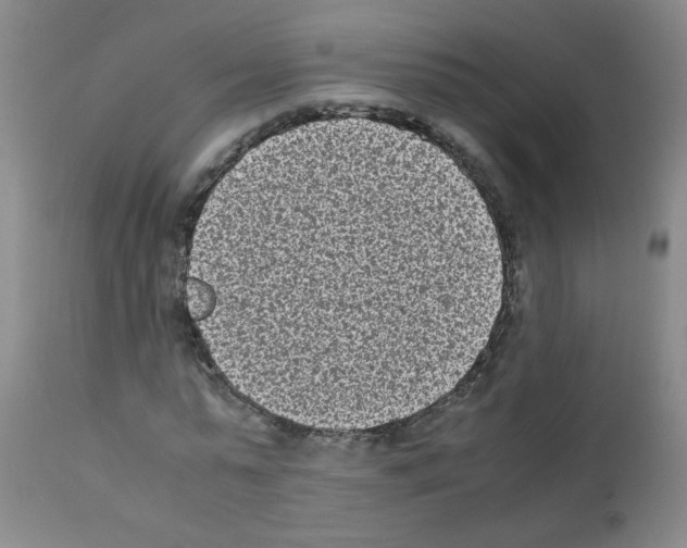 X0000111850775200909031726