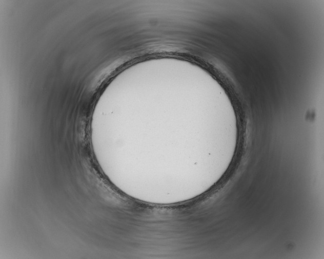 X0000111850777200909031726
