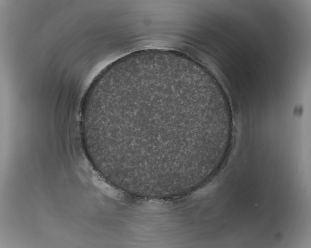 X0000111850779200909031726