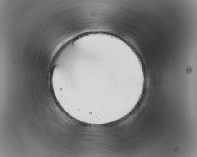 X0000111850781200909031726