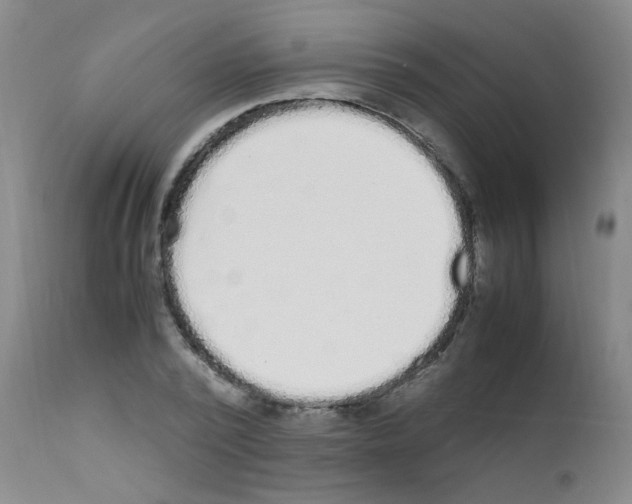 X0000111850784200909031726