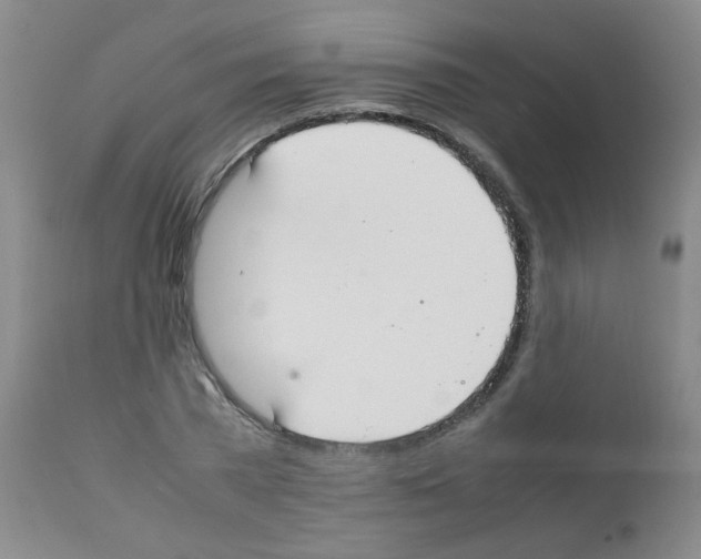 X0000111850785200909031726
