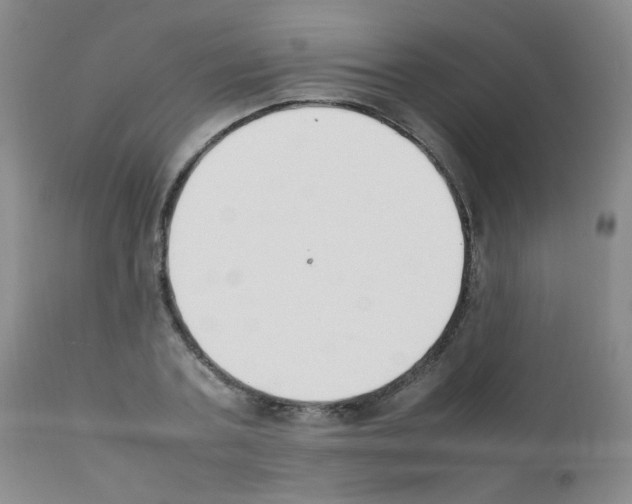 X0000111850787200909031726