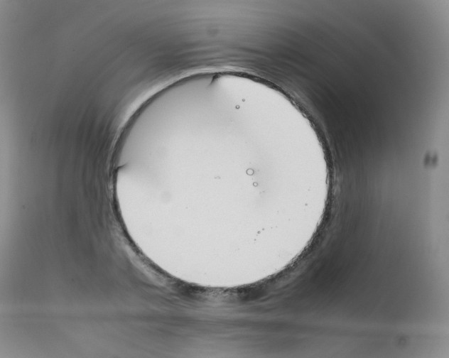 X0000111850789200909031726