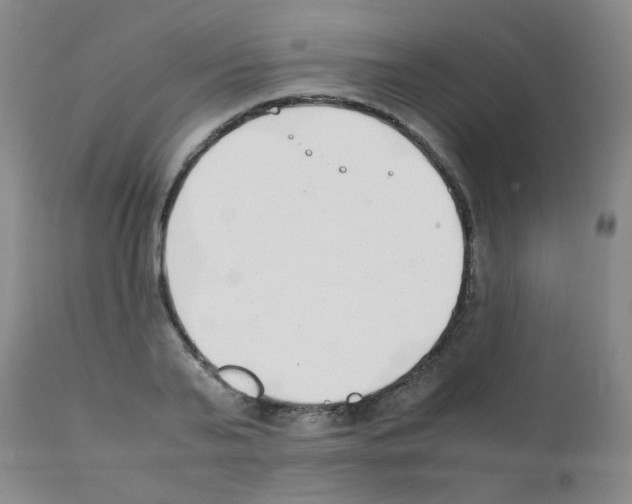 X0000111850791200909031726