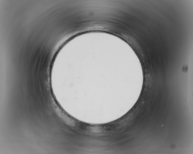X0000111850792200909031726