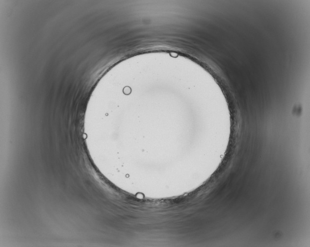 X0000111850793200909031726