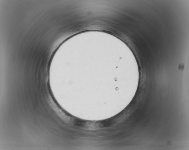 X0000111850795200909031726