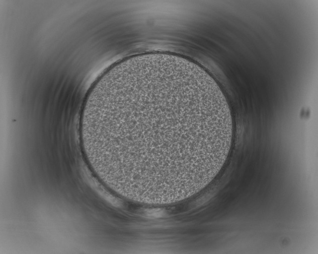 X0000111850798200909031726