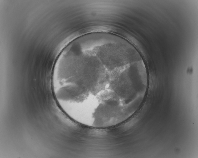X0000111850802200909031726