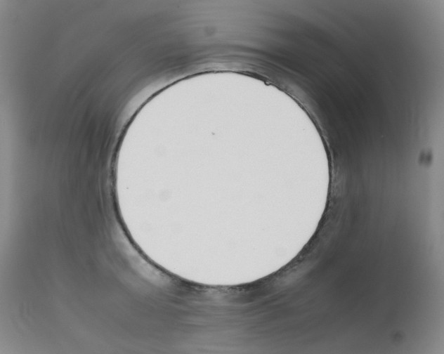 X0000111850803200909031726