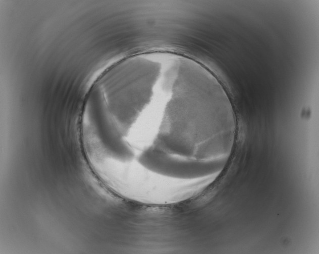X0000111850806200909031726