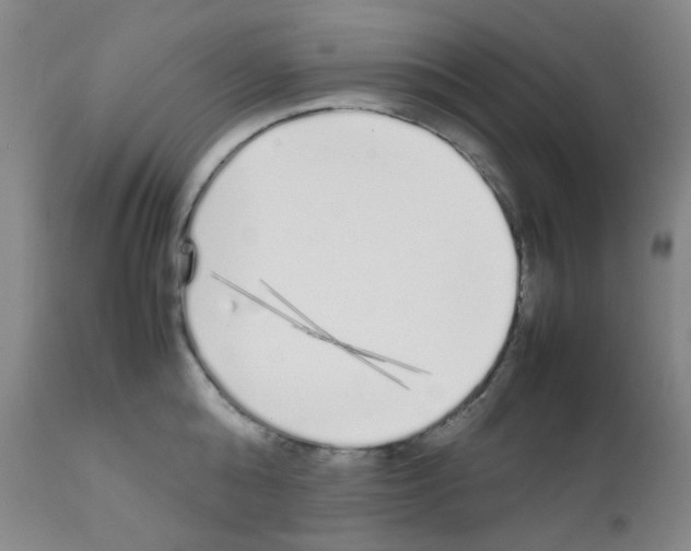 X0000111850808200909031726