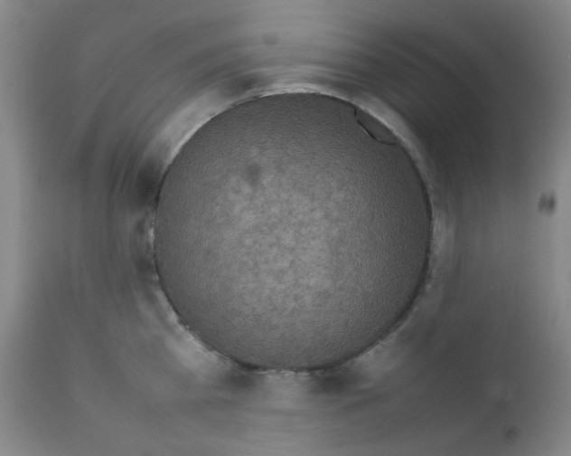X0000111850809200909031726