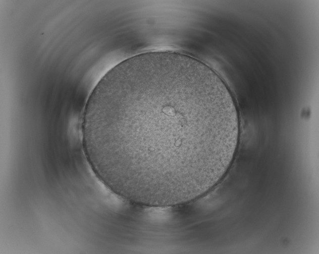 X0000111850810200909031725