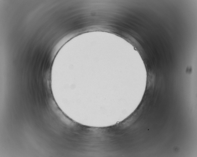 X0000111850812200909031725