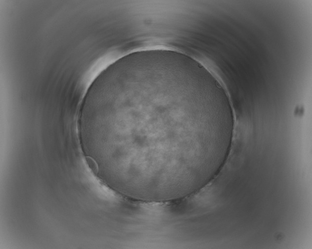X0000111850813200909031725