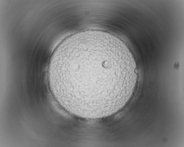 X0000111850814200909031725