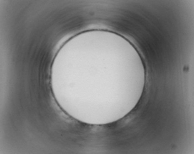 X0000111850815200909031725
