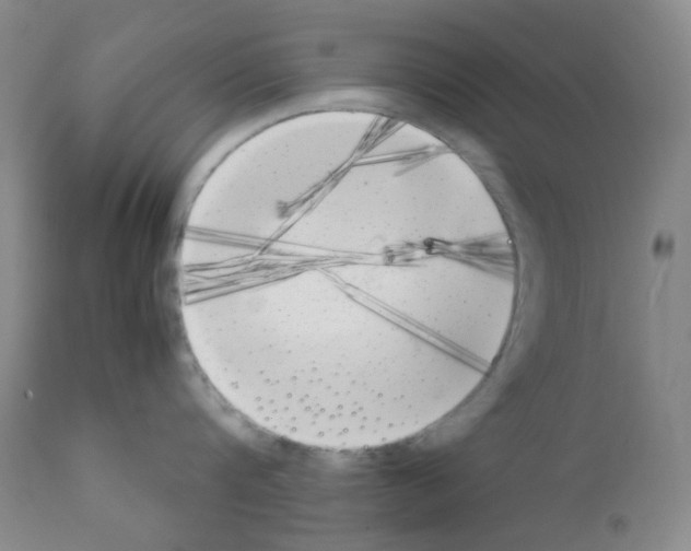 X0000111850816200909031725