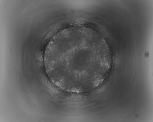 X0000111850818200909031725