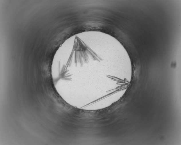 X0000111850819200909031725