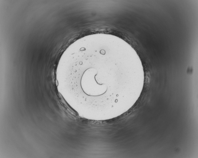 X0000111850820200909031725