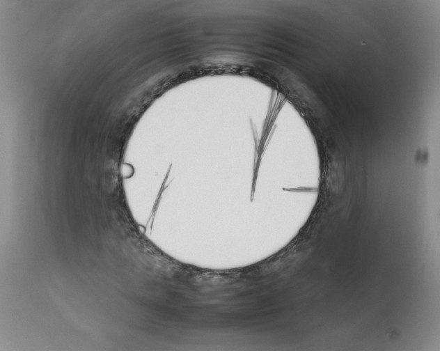 X0000111850821200909031725