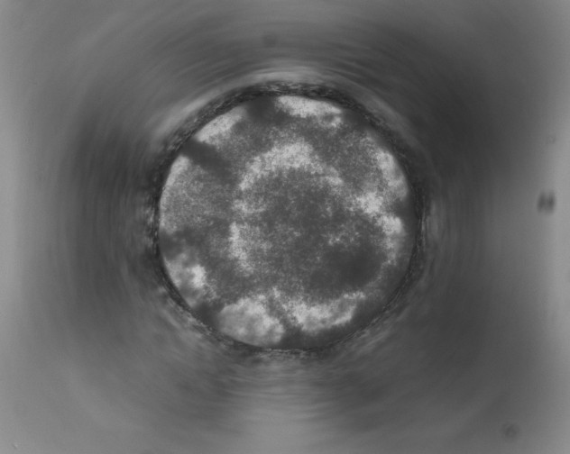 X0000111850822200909031725