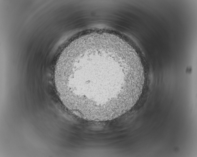 X0000111850823200909031725