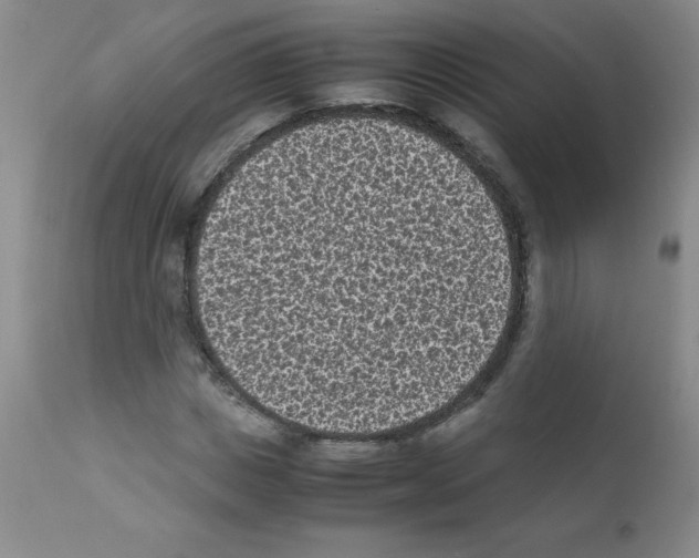 X0000111850825200909031725