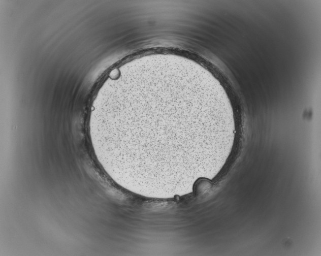 X0000111850826200909031725