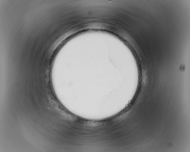 X0000111850829200909031725