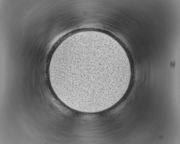 X0000111850830200909031725