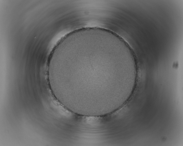 X0000111850832200909031725