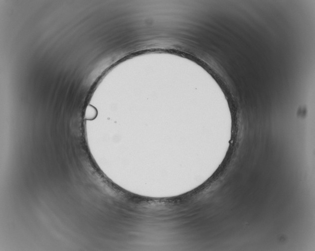 X0000111850834200909031725