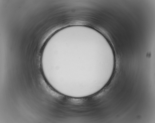 X0000111850835200909031725