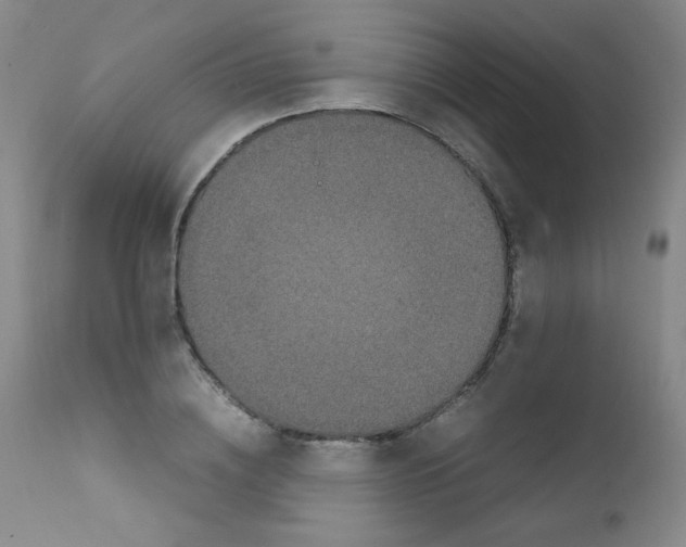 X0000111850836200909031725