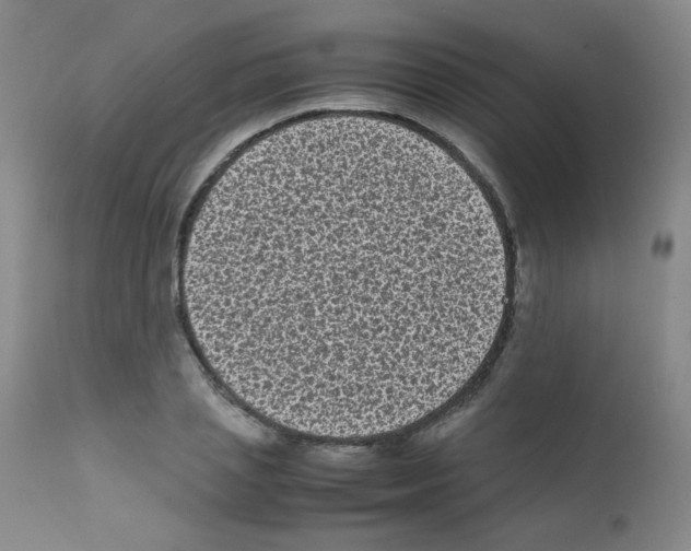 X0000111850837200909031725