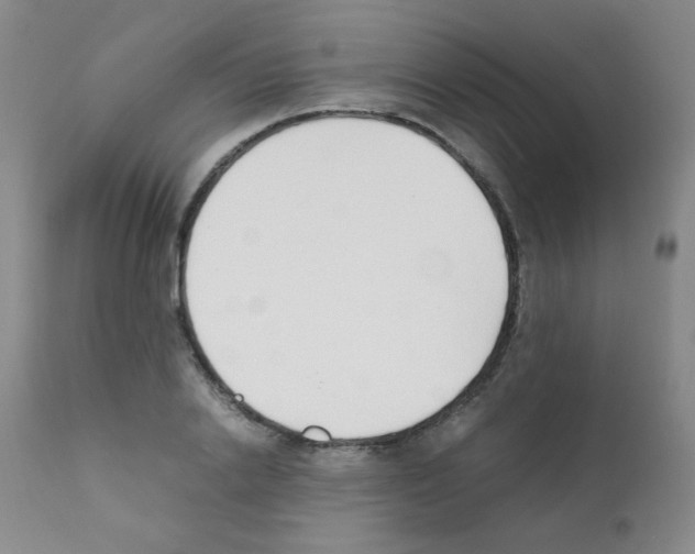 X0000111850838200909031725