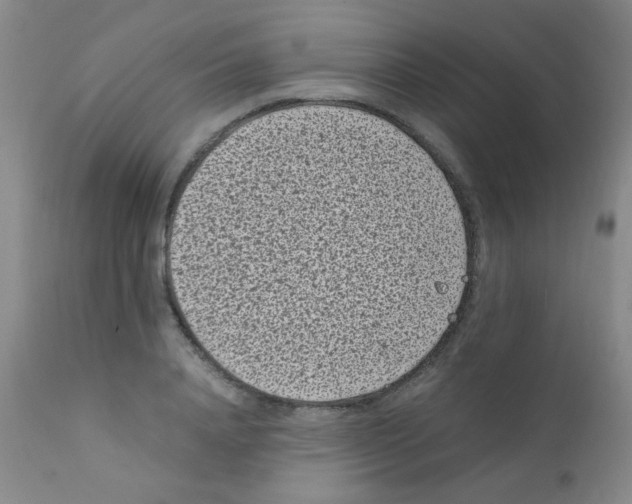 X0000111850840200909031725