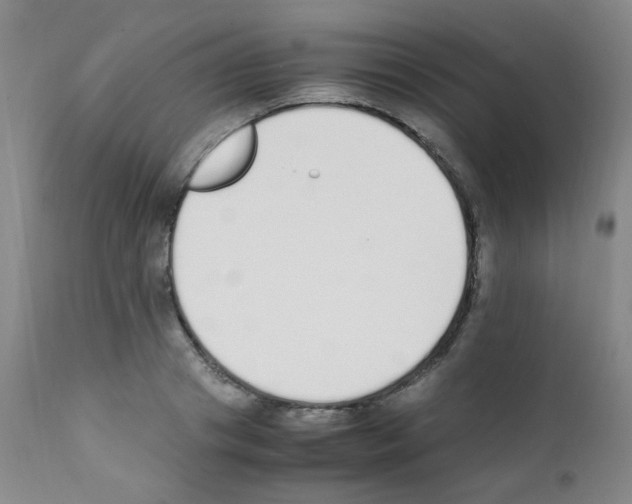 X0000111850841200909031725