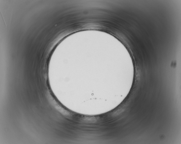X0000111850843200909031725