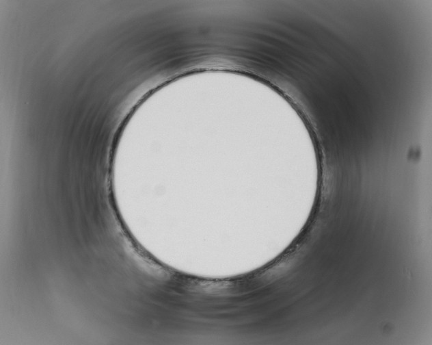 X0000111850845200909031725